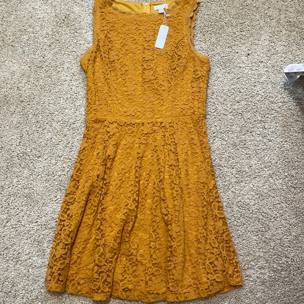 Charming Charlie Dress